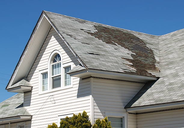 Top Rated Roofer Bellevue for Leak Repair Services