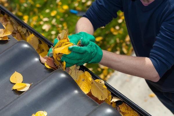 Professional Gutter Cleaning Columbus for Clean and Clear Gutters