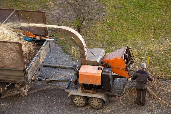 Reliable Tree Service in Springfield IL for Residential Properties