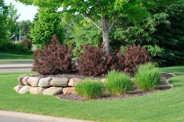 Professional Landscaping Ideas for Lexington, SC Homes